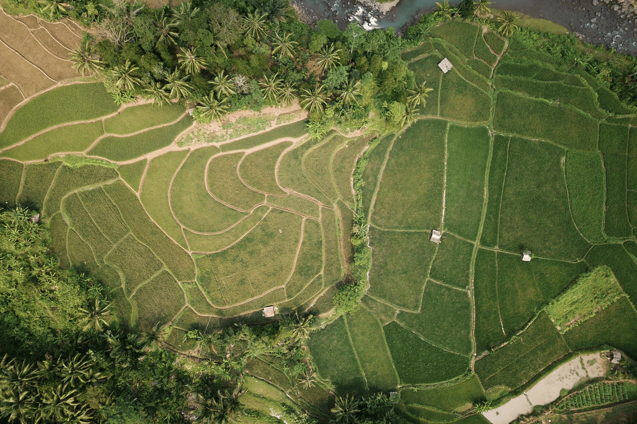 Emparcelamento Rural